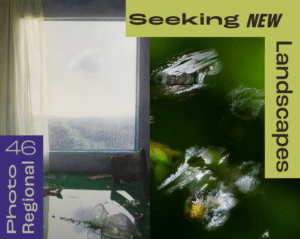 Photo Regional 46 - Seeking New Landscapes PDF Catalog Cover